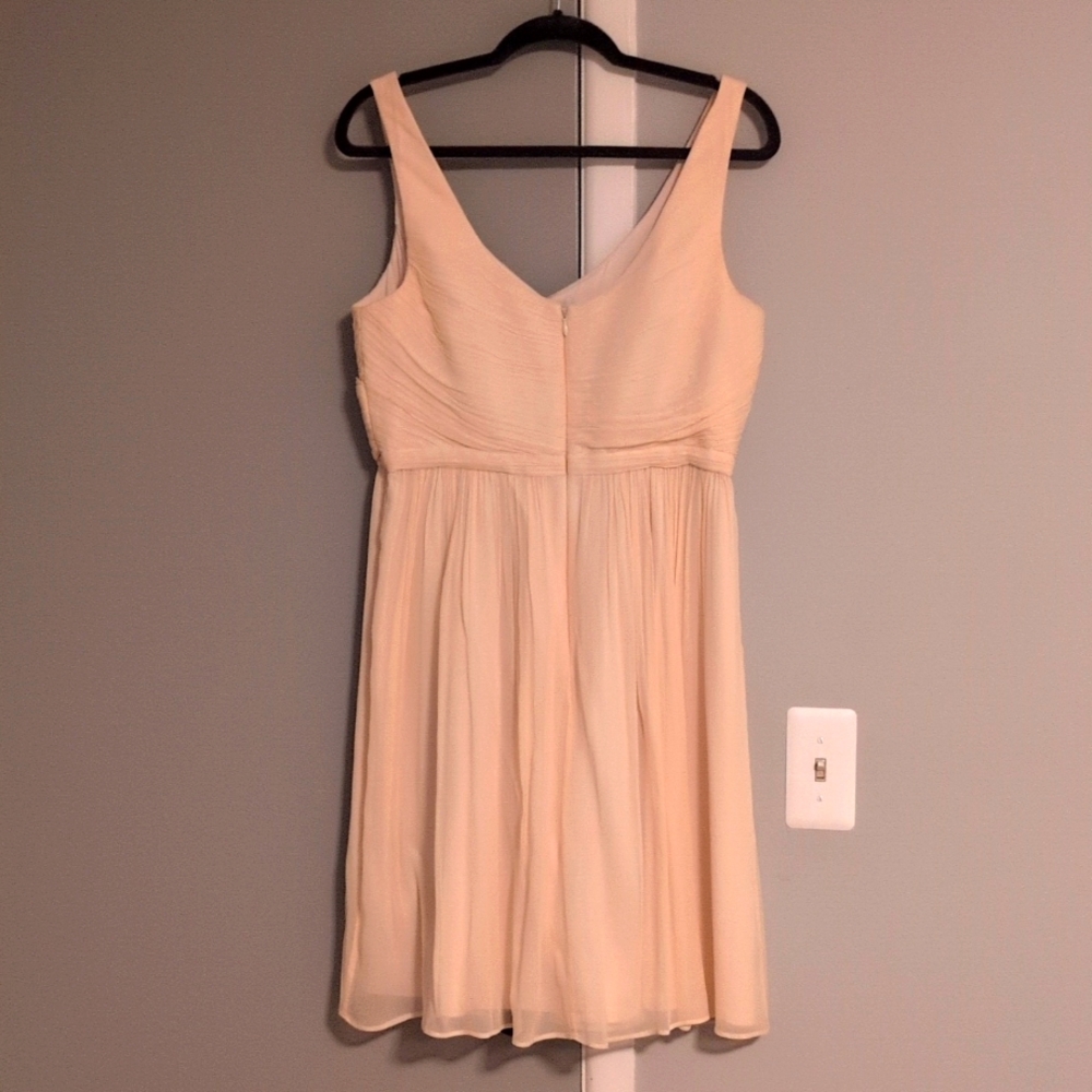 J Crew Champagne Chiffon Dress - Picture 3 of 3